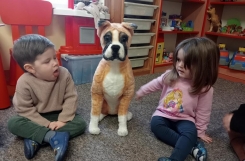 IMG20250203090943 